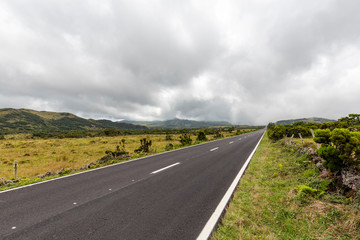 Road into the Distance