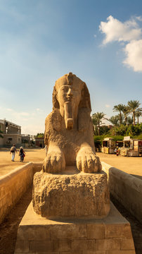 Ancient Capital Of Lower Egypt Memphis, A Statue And A Couple Of Tourists