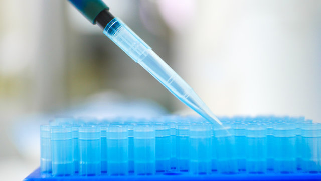 Blue pipette tip in blue box.