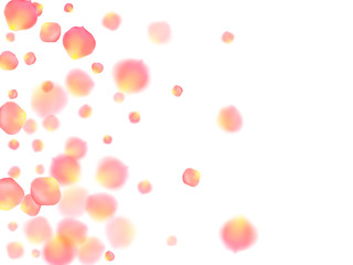 Rose gold petals flying cosmetics vector background.