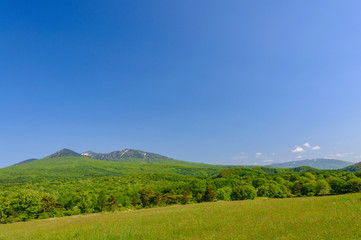 Fototapeta premium 八甲田山