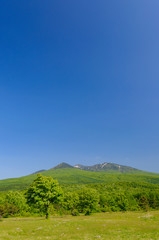 Fototapeta premium 八甲田山