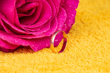 Pink rose flower with dew drops and a ring of gold on a yellow terry towel, close-up.