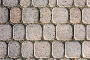 Detailed texture of paved pathway built with small blocks.