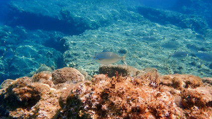 Greece Crete island South Crete