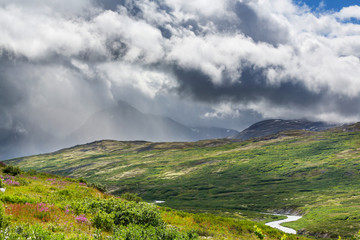 Fototapeta premium Góry w Kanadzie