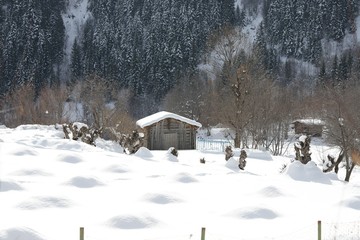 mountain landscape slopes covered with snow can be seen a tree fence and a house.savsat/artvin