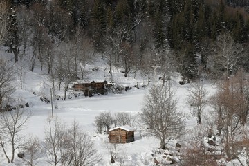 mountain landscape slopes covered with snow can be seen a tree fence and a house.savsat/artvin