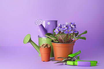Set of gardening supplies on color background