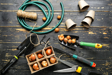Set of gardening supplies on wooden background