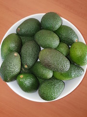 Avocado Bowl