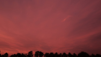 Fototapeta na wymiar Beautiful orange sky and silhouette of tree in sunset time, nature background