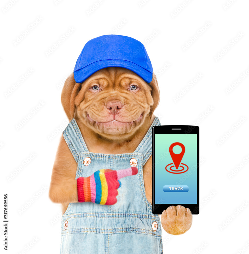 Poster Smiling puppy wearing a blue cap and overalls points on smartphone with tracking symbol. tracking concept. isolated on white background