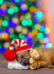 Fototapeta na wymiar Close up tiny toy terrier puppy wearing a santa hat hugs toy bear and sleeps on pillow on festive Christmas background