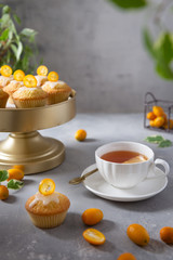 Lemon muffins, cakes, pies with a cup of tea on gray background. Side view. Copy space. Cafe menu. Spring mood