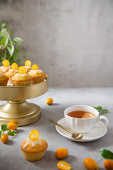 Lemon muffins, cakes, pies with a cup of tea on gray background. Top view. Copy space for text. Cafe menu. Spring mood