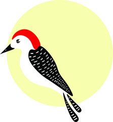 Woodpecker bird cute cartoon vector isolated on white background. Concept for print, logo, icon 
