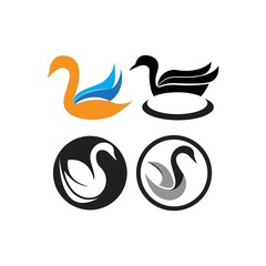 Swan logo Template