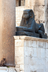 Fototapeta na wymiar Cat sitting by th black granite Egyptian sphinx on Peristyle, central square of the Diocletian palace in Split, Croatia