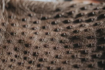 Foto op Plexiglas Close-up of ostrich leather. Flat-lay background of ostrich skin.  © belyaaa