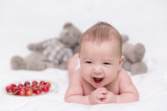 148 Best Metis Images Stock Photos Vectors Adobe Stock