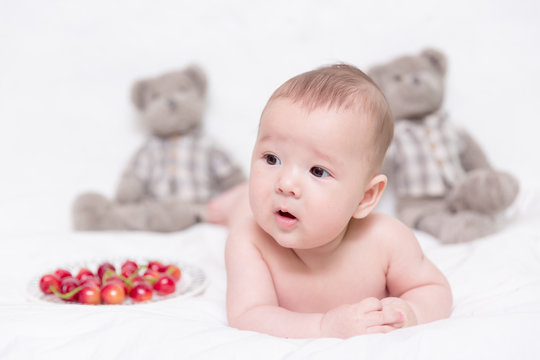 148 Best Metis Images Stock Photos Vectors Adobe Stock