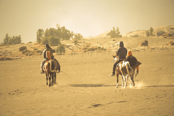 Fototapeta premium Horse riding in the desert, horsemen riding in sandstorm, Sand dune