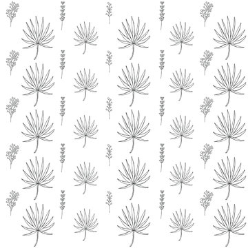tropical leaves seamless pattern on white background. Fan palm leaf vector and lavender with elderberry branch