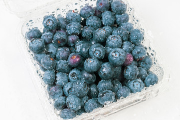 box of wet blueberries on a white background
