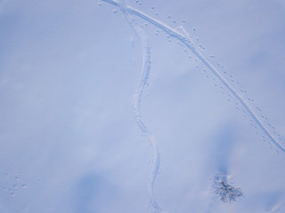 Aerial view of freeride ski traces in powder snow. Concept of action sports in backcountry mountaineering.