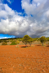 Rote Erde (Terra Rossa) in Algarve, Portugal