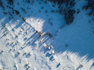 Fototapeta na wymiar Aerial view of open snow covered field with bush plants in rural area in alpine region. Winter in Switzerland.