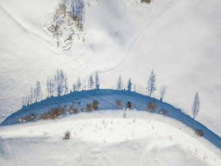 Aerial view of shadow silhouette of line o trees in snow landscape. Concept of nature in winter with copy space.
