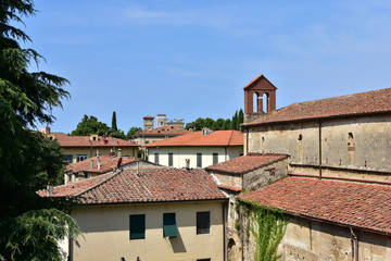 Pisa, Italy architecture, monuments, streets, life, nature in solar rays, summer travel.
