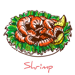hand drawn boiled prawn or shrimp with lettuce and lemon slices isolated on white background. Colorful sketch drawing of seafood. king Shrimps served on white plate.Tasty cooked fried pile of prawns.
