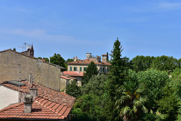 Obraz premium Pisa, Italy architecture, monuments, streets, life, nature in solar rays, summer travel.