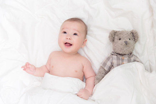 148 Best Metis Images Stock Photos Vectors Adobe Stock