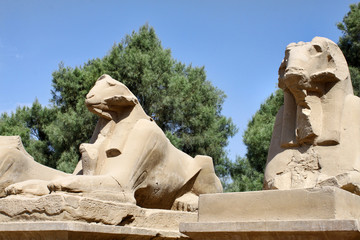 Statue of Ram Headed Sphinx in Karnak Temple, Luxor, Egypt