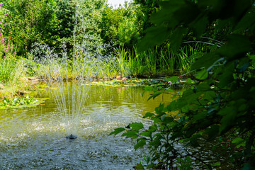 Obraz na płótnie Canvas Reflection of stream of water from cascading fountain on emerald surface of pond in shady garden on blurry background of flowers of water lilies or lotuses. Selective focus. Cool on hot sunny day.
