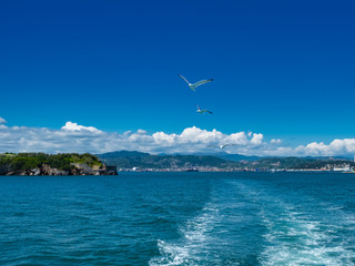 Fototapeta na wymiar Seagulls in flight over the Gulf of La Spezia Liguria Italy