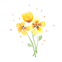 Yellow flower watercolor 