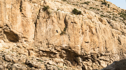 panorama of the canyon near ein prat in wadi qelt in the west bank with a rock climber clinging to the limestone cliff with her belayer in the foreground