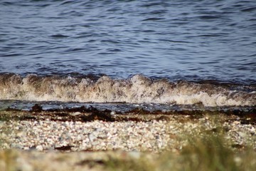 Fototapeta na wymiar water on the beach