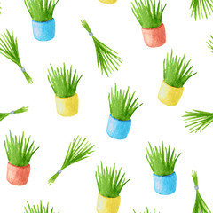 Watercolor plants in flowerpots and bunch of grass seamless pattern. Hand drawn herbs in colorful pots isolated on white background. Design for wrapping, cards, decoration
