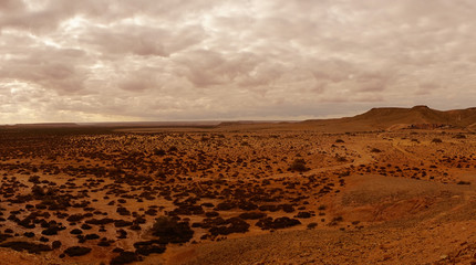 landscape in the valley of the river Draa