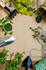 Fototapeta na wymiar Garden background with tools. A sheet of brown paper with space for text top view, around it garden tools, twine, shovel, rake, green branches, glasses for seedlings