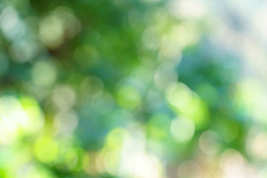 Defocused lights abstract green round bokeh background