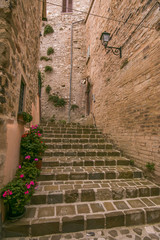 Staircase with vase of flowers in the medieval charming town of Nocera Umbra, Umbria