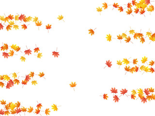 Maple leaves vector background, autumn foliage on white graphic design.