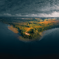 Forest shore of lake, aerial panorama